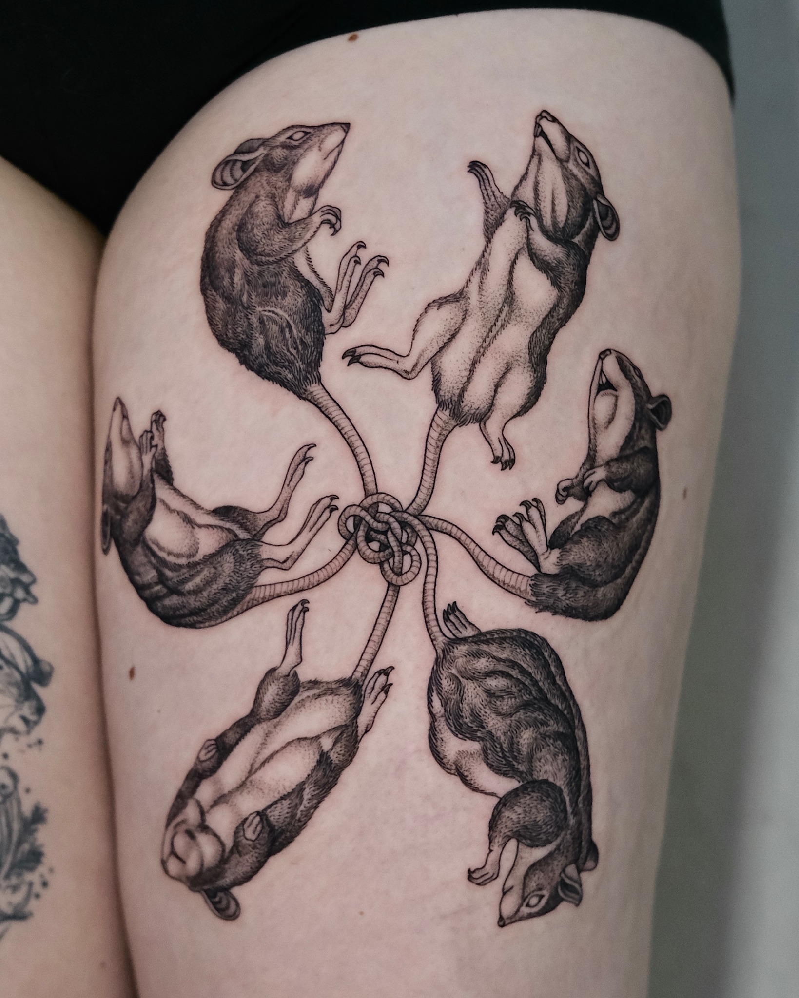 Rat King Tattoo